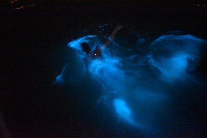 Private Transport to Luminous Lagoon in Falmouth