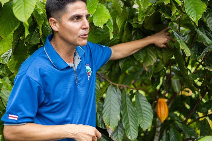 Coffee & Chocolate Tour+Sloths Park & Llanos de Cortez Waterfall
