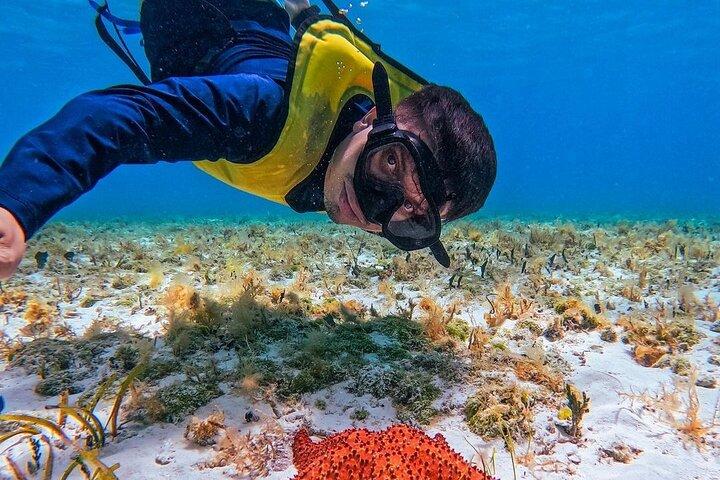 El Cielo Snorkeling Adventure in Cozumel