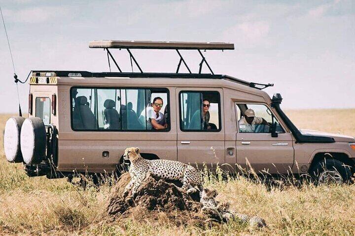2 Days Private Budget Safari to Tarangire NP & Ngorongoro Crater
