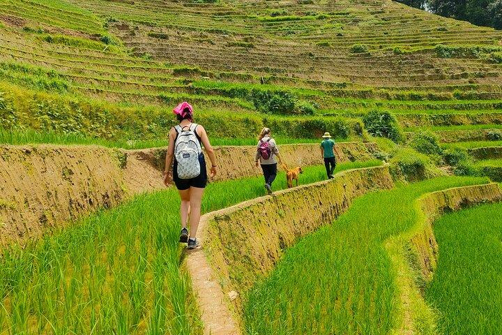 Full Day Private Trekking Mu Cang Chai
