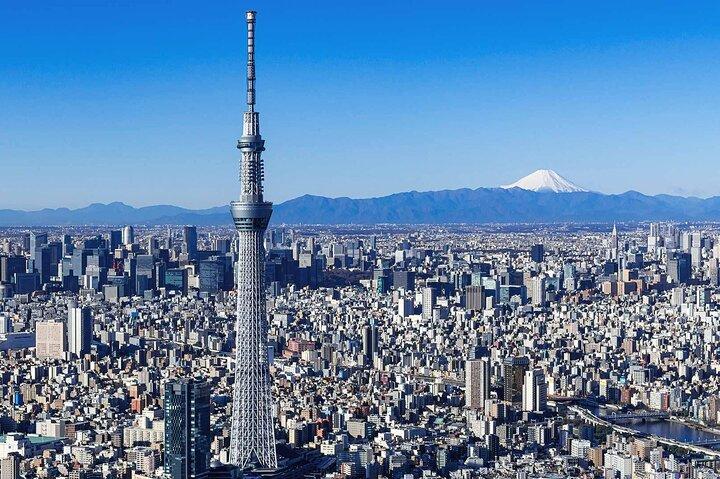 Private Full Day Tour Around Tokyo Like a Local