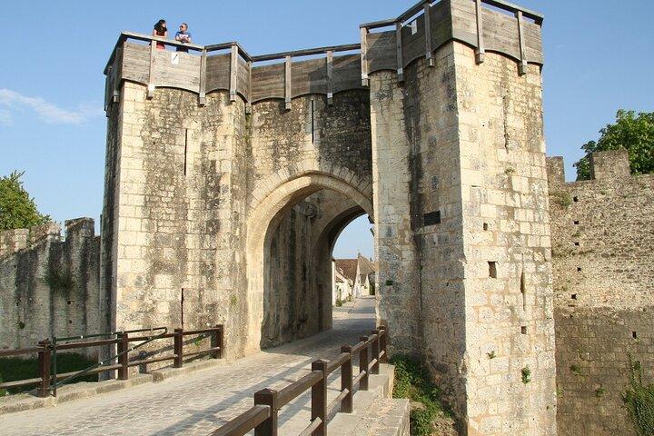 Provins and Fontainebleau One Day Private Trip from Paris