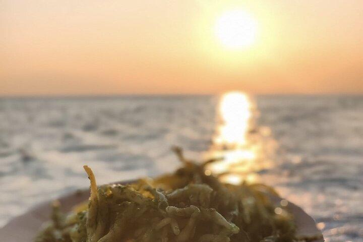 Aperitif on a boat at sunset, Porto Venere and islands