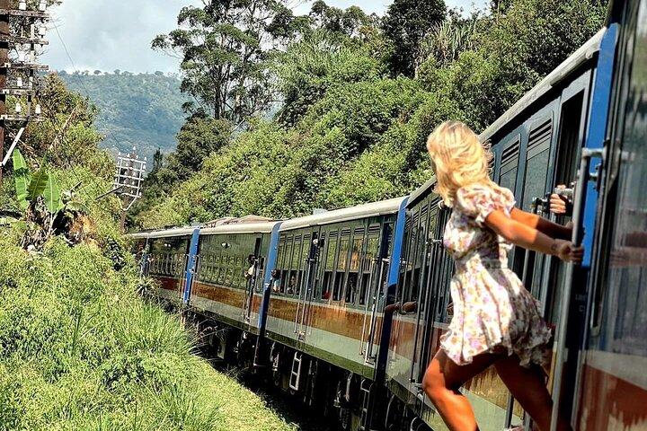 Ella Private Day Tour with Train Ride and Visit to Nine Arch
