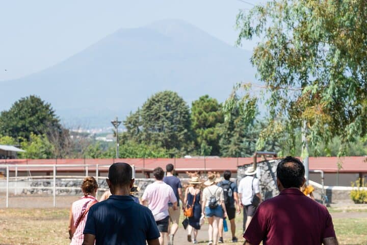 Private Pompeii Tour with Organic Wine Tasting & Lunch