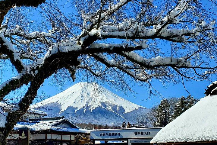 2 Days - 1.Tokyo/2.Mt. Fuji and Hakone Private Tour from Tokyo