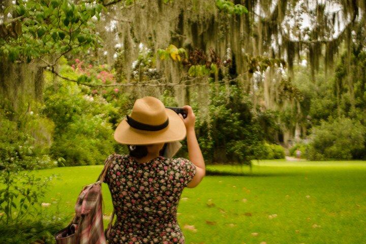 Magnolia Plantation Tour with transportation PLUS City Bus Tour