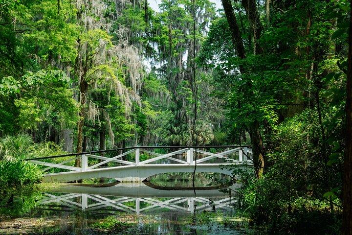 Magnolia Plantation Tour with transportation PLUS City Bus Tour