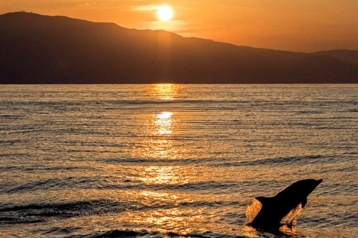 Medulin: 85% Dolphin Sunset Cruise, All-Inclusive & Face Painting