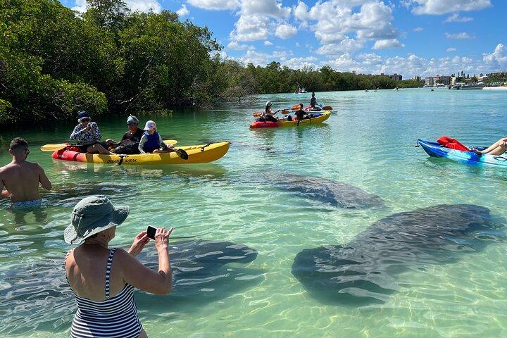 Island Tour by Pedal HOBIE / Kayak / SUP - Fort Myers Beach
