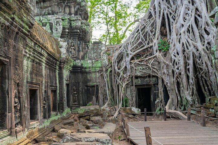 Private Angkor Wat Sunrise Tour with Breakfast & Snacks