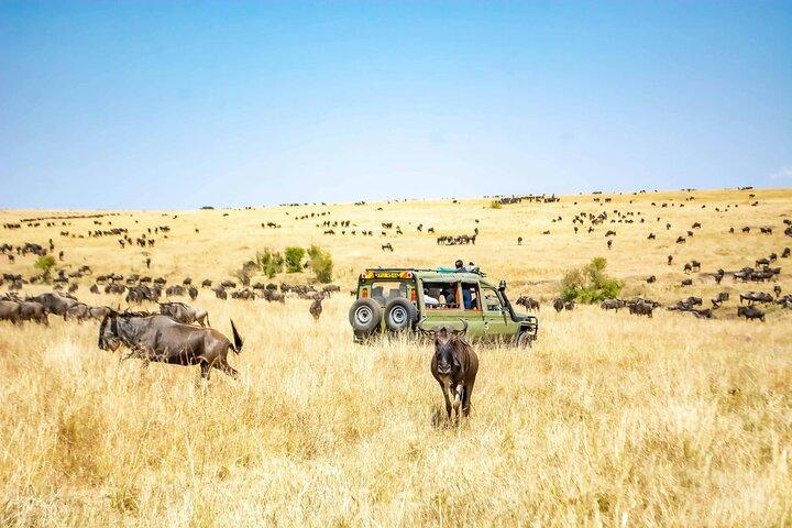 3 Days Masai Mara Safari Adventure by Land Cruiser