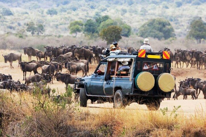 3 Days Masai Mara Safari Adventure by Land Cruiser
