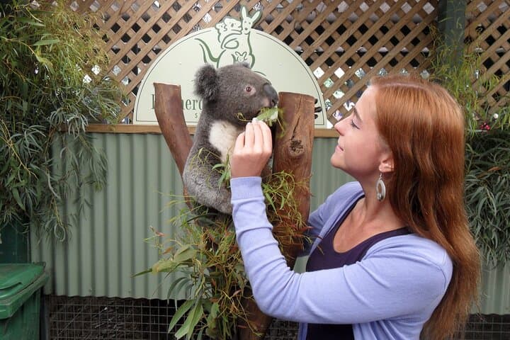 Featherdale Wildlife Park with Exclusive Private Transfers