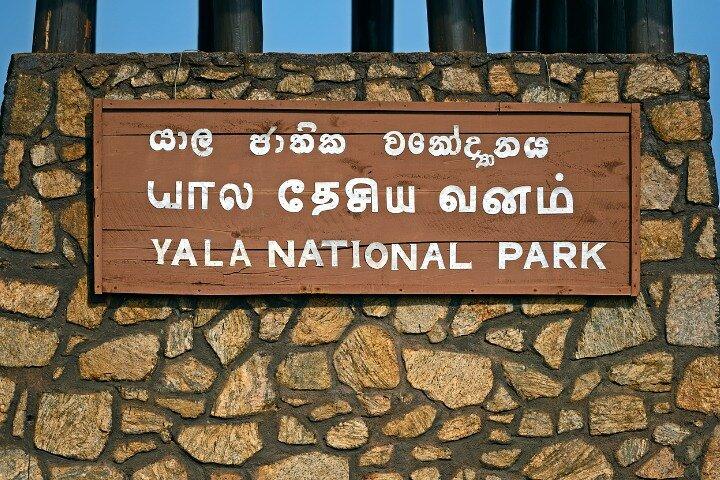 Yala National Park Half Day / Full Day Special Safari Tours