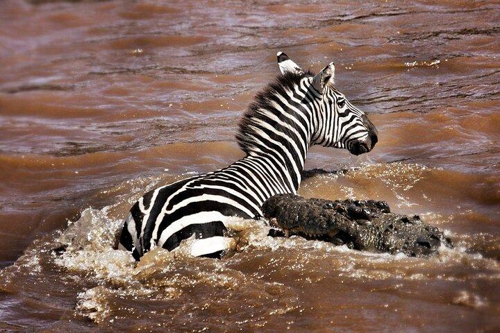 4 Days Masai Mara Adventure Safari Shared Tour from Nairobi