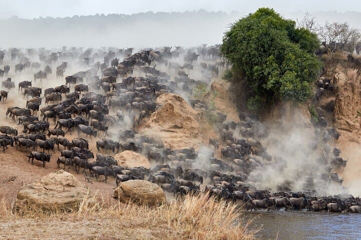 15-Day Ultimate Legends of the Wild Kenya Tanzania Safari