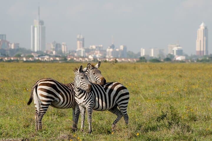 15-Day Ultimate Legends of the Wild Kenya Tanzania Safari