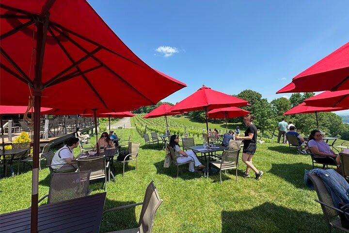 Hudson Valley Wine and Food Day Trip with Sommelier host from NYC