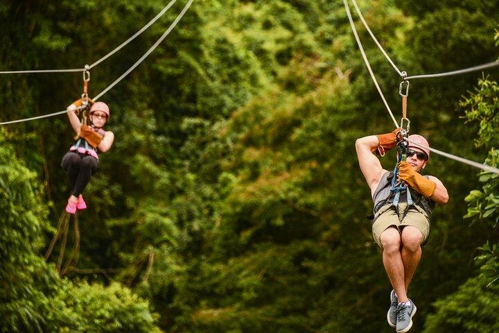 Punta Cana: Zip Line Adventure with Adrenaline half day tour