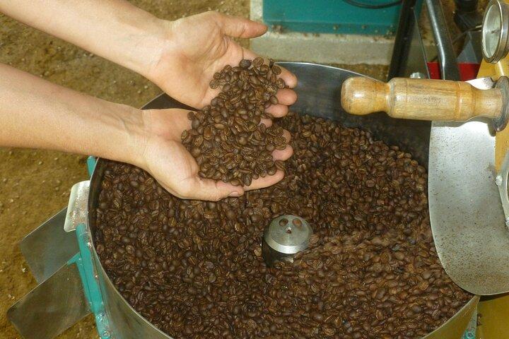 Costa Rican Coffee, Chocolate and Sugar Cane Activity
