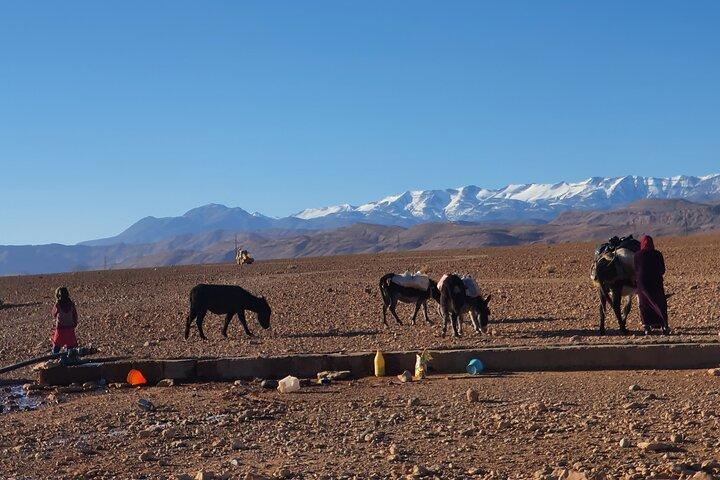 Hike & Overnight With Nomads Families