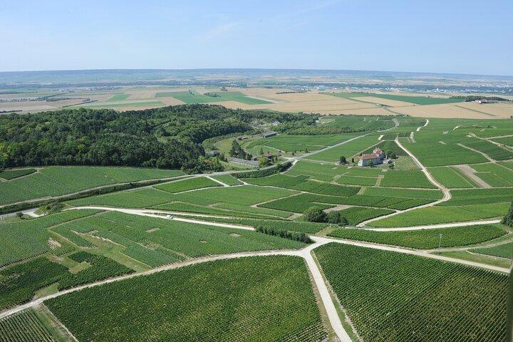 Check-out Reims: Discovery Vineyard and Tasting Champagne Coutant