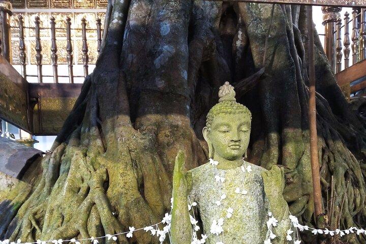 COLOMBO PRIVATE guideCITY TOUR WITH street food( All inclusive )
