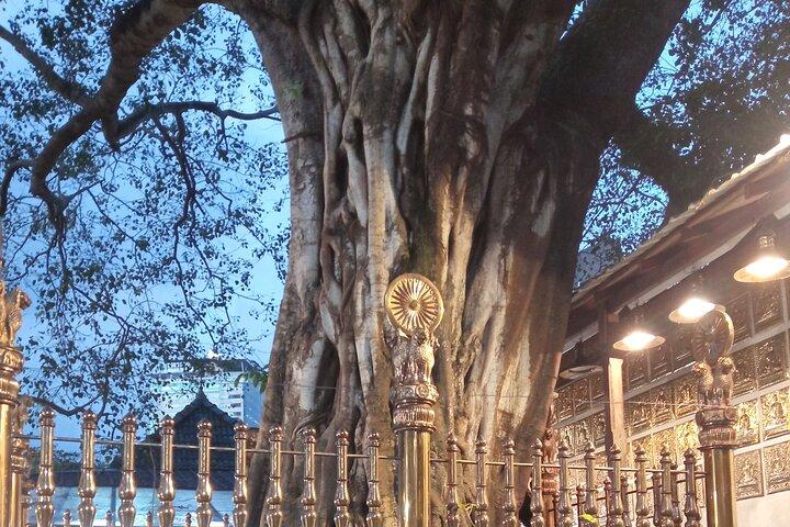 COLOMBO PRIVATE guideCITY TOUR WITH street food( All inclusive )