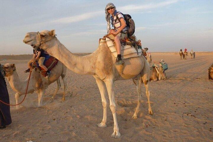 Desert Safari Tour by ATV Quad Bike and Camel Ride - Hurghada