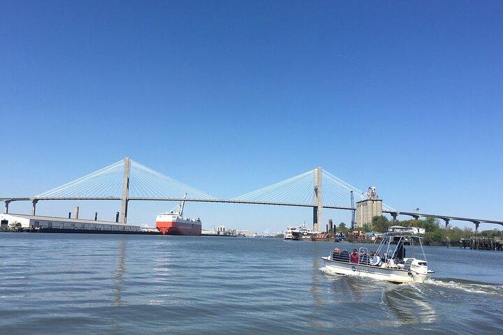 Savannah Coastal Dolphin Eco Tour