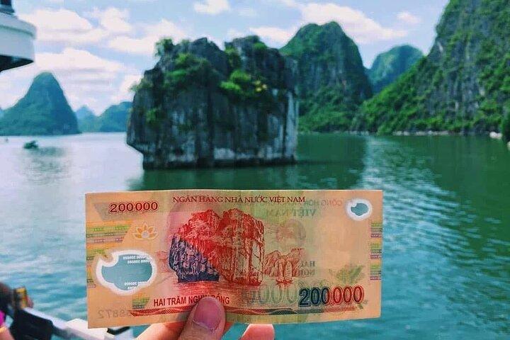 Ha Long Bay Excursion from Ha Long Port, Private Car, Share Boat