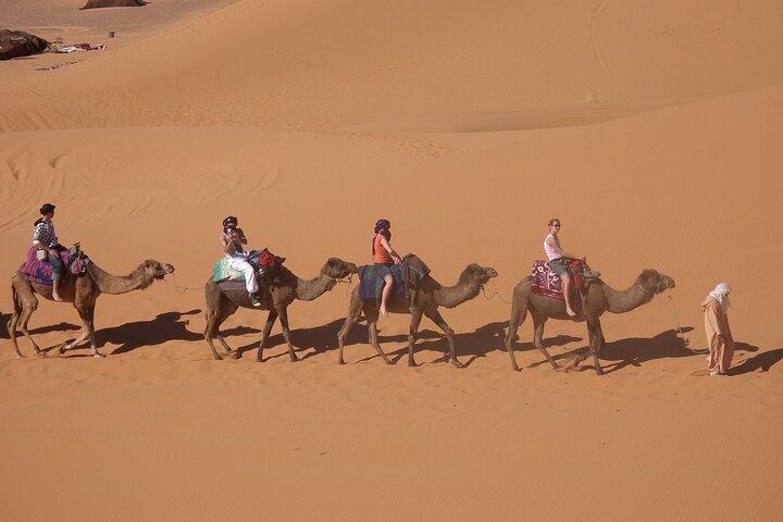 Overnight Camel Ride in the Desert