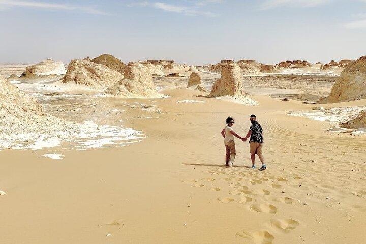 2 Days White Desert and Bahariya Oasis Tour - Private