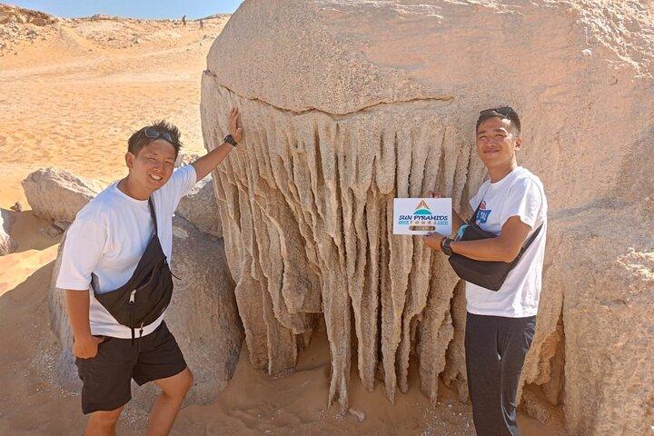 2 Days White Desert and Bahariya Oasis Tour - Private