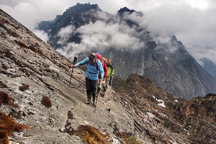 Private Mt Kilimanjaro Full Day Hike -Mandara