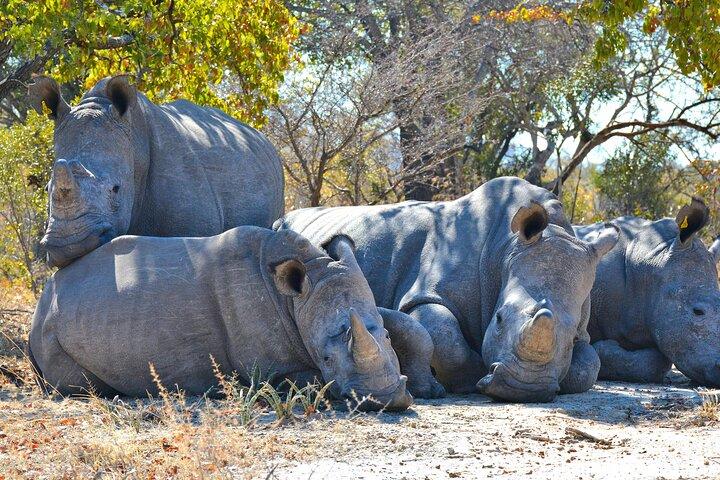 Private Day Tour to Ol Pejeta Conservancy from Nairobi