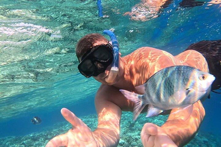 Hurghada Diving Adventure one Day with two Dives Boat Trip