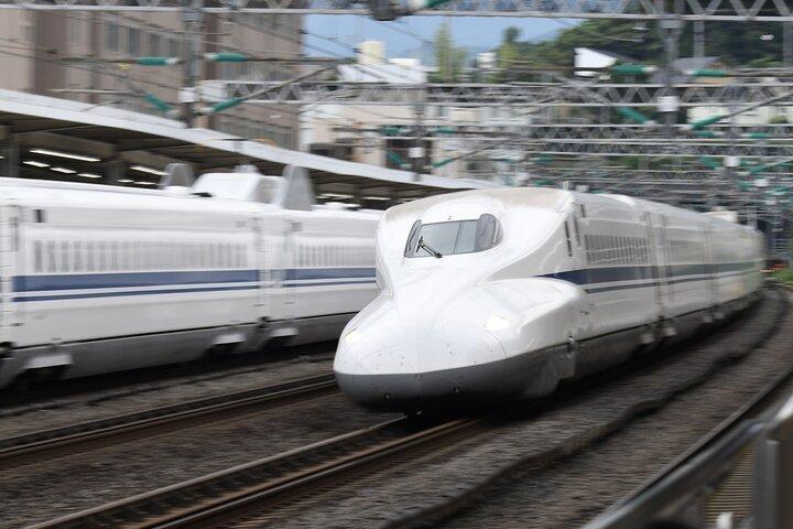 Day Trip Kyoto from Tokyo with a Licensed Guide by Bullet Train