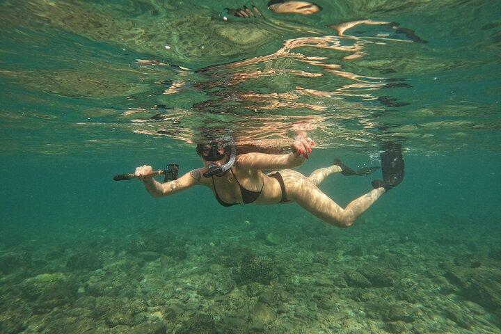 Snorkeling with turtles in Fujairah