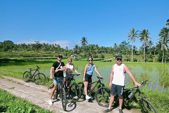 Bali Natural Downhill Cycling Tour: Volcano, Rice Fields & Meals