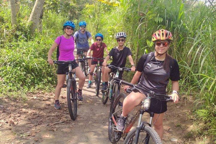 Bali Natural Downhill Cycling Tour: Volcano, Rice Fields & Meals