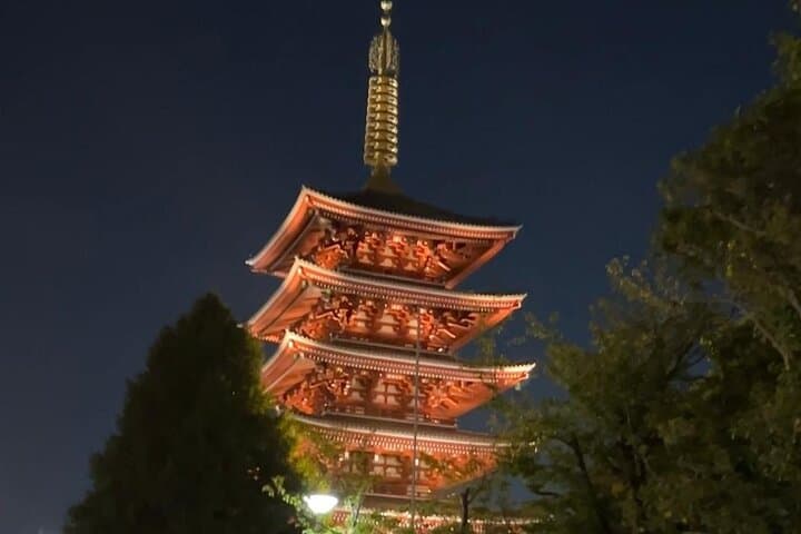 Customizable Private Tokyo Trip with an English Speaking Driver