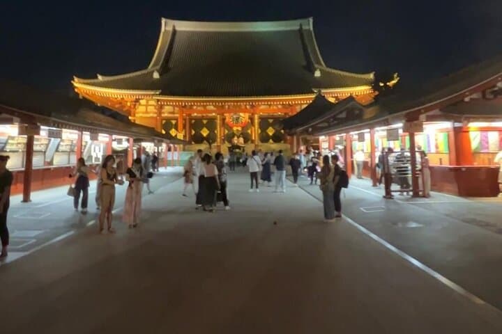 Customizable Private Tokyo Trip with an English Speaking Driver