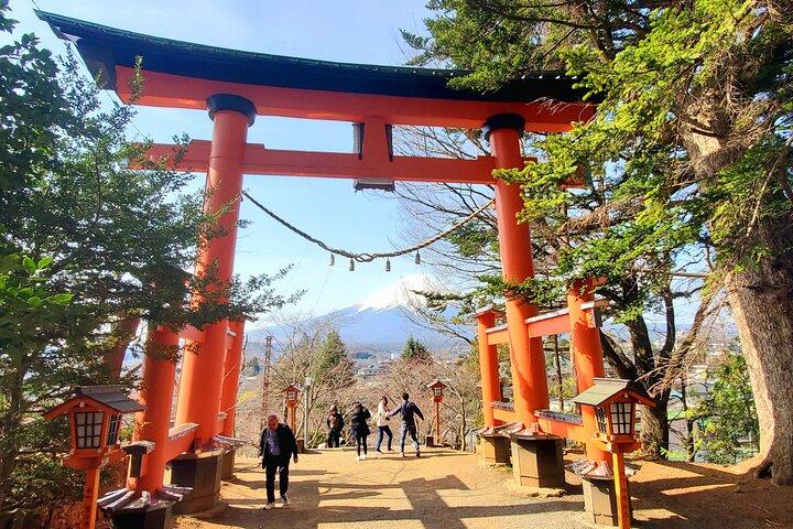 2 Days - 1.Tokyo/2.Mt. Fuji and Hakone Private Tour from Tokyo