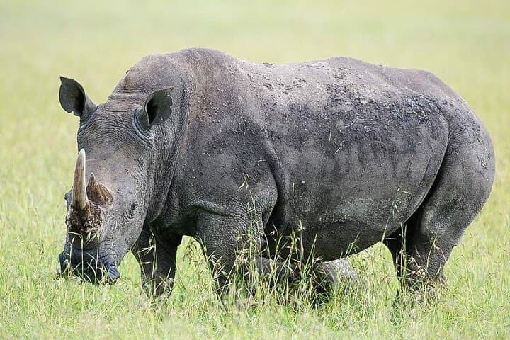 7-Days Wildlife and Outdoor activities in kenya
