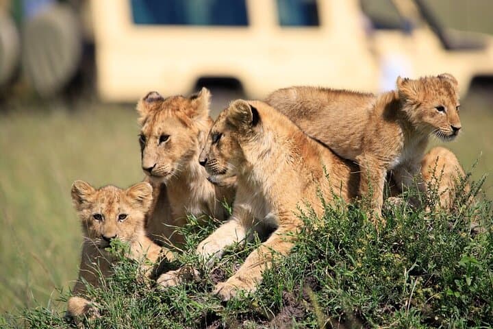7-Days Wildlife and Outdoor activities in kenya