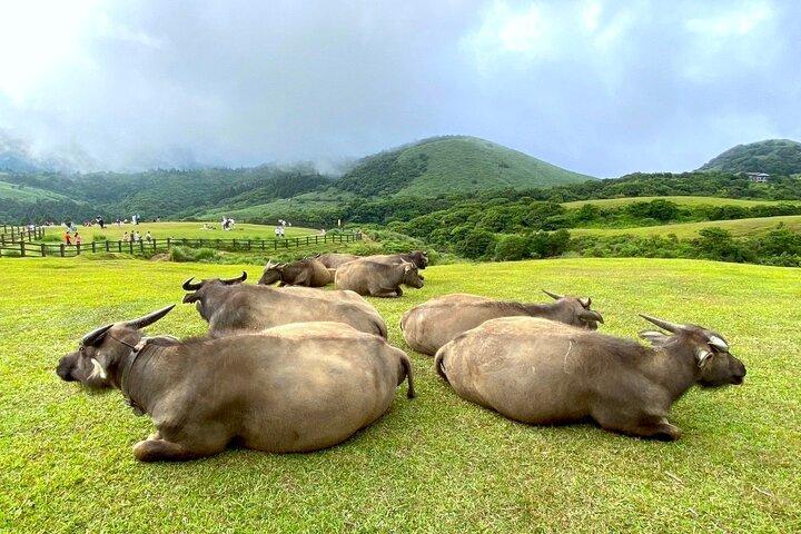 Full-day Tour in Yangmingshan & Beitou from Taipei (Small Group)