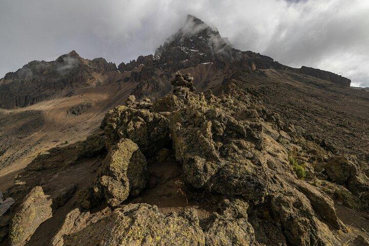 Private Day Tour to Mount Kenya from Nairobi